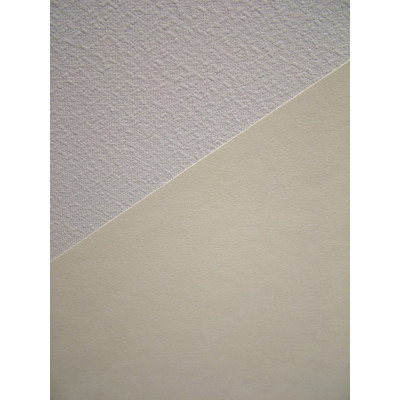 NOVELIO - Voile de Rénovation Prépeint GV250CR 15x1m