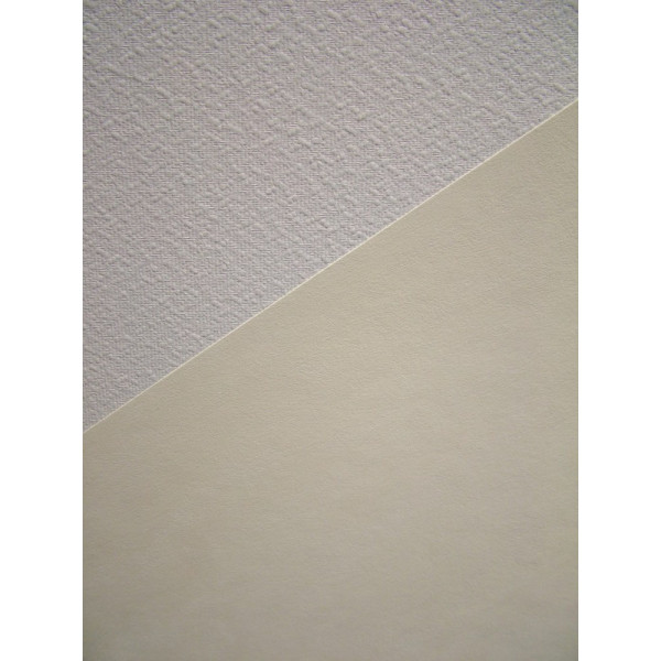 NOVELIO - Voile de Rénovation Prépeint GV250CR 15x1m