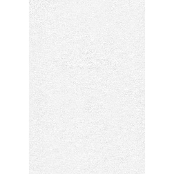 DECORAMA - 2104 Patent Rapid RAA 25x1.06m26,50m²