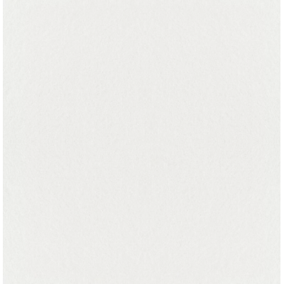 DECOR DESIGN - Toile de Verre Lisse Peinte Blanche - 1 x 25 ml