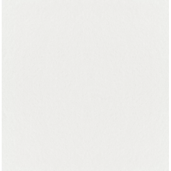 DECOR DESIGN - Toile de Verre Lisse Peinte Blanche - 1 x 25 ml