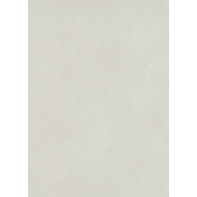DECORAMA - 40119 - Vinyle Plat sur Papier Uni Gris