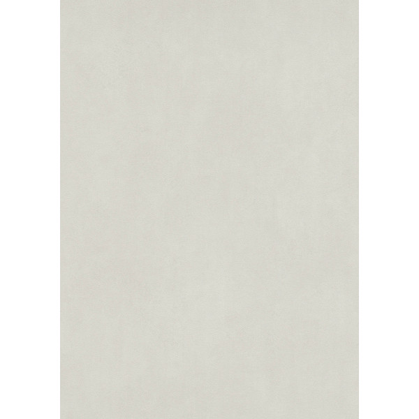 DECORAMA - 40119 - Vinyle Plat sur Papier Uni Gris