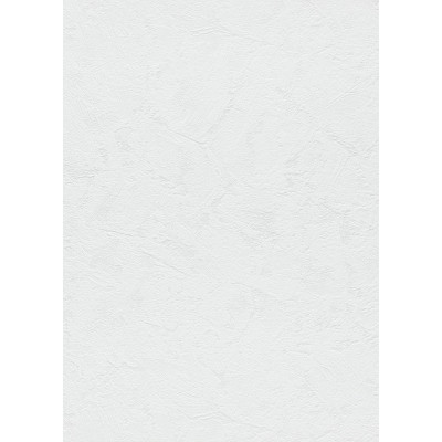 DECORAMA - 6081-01 - Papier Peint Vinyle Expansé sur Intissé Blanc