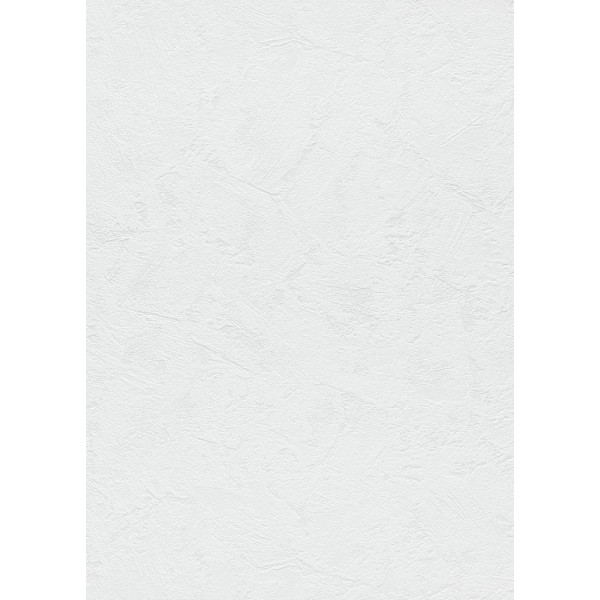 DECORAMA - 6081-01 - Papier Peint Vinyle Expansé sur Intissé Blanc