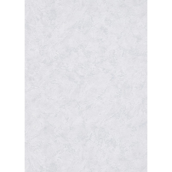 DECORAMA - 8912-31 - Papier Peint Vinyle Expansé sur Papier Gris