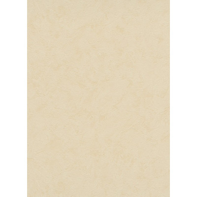 DECORAMA - 8912-04 - Papier Peint Vinyle Expansé sur Papier Orange Clair