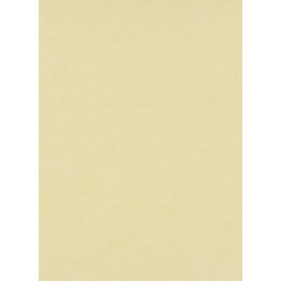 DECORAMA - 8912-03 - Papier Peint Vinyle Expansé sur Papier Jaune Pâle