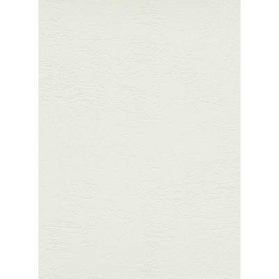 DECORAMA - 8586-01 - Papier Peint Vinyle Expansé sur Papier Cuir Blanc