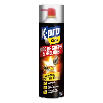 KAPO - Anti Guêpes Foudroyant Aérosol 500ml TP18