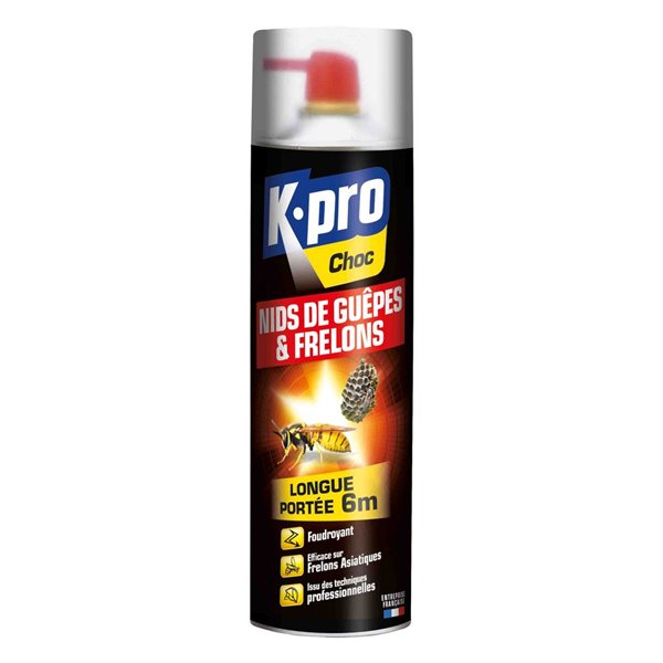 KAPO - Anti Guêpes Foudroyant Aérosol 500ml TP18