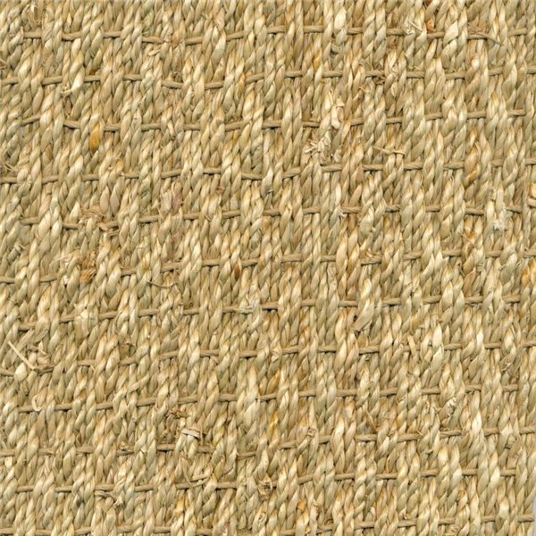 Borneo 4472 4m Normal Panama