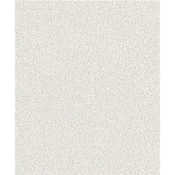 DECORAMA - 5601 - Patent Decor Terra 10.05x0.53m