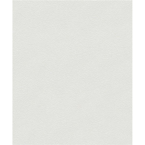 DECORAMA - 5612 - Patent Decor Terra 10.05x0.53m