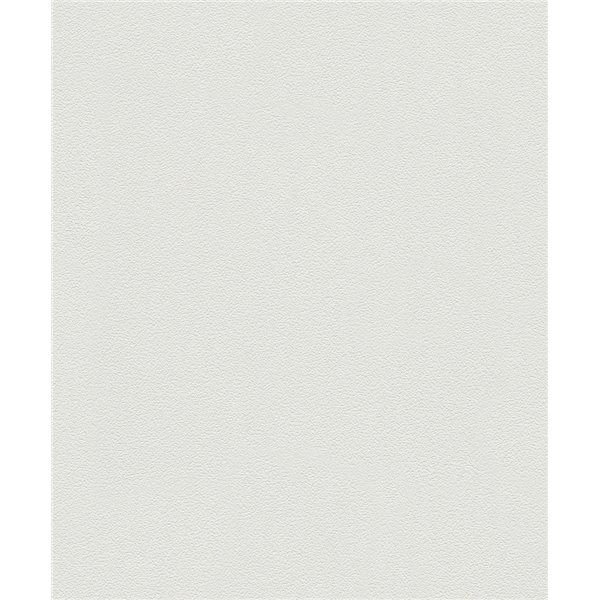 DECORAMA - 5607 - Patent Decor Terra 10.05x0.53m