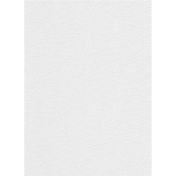 ERISMANN ET CIE - 5368-10 - Revêtement à Peindre Intissé Paille Rollover Deco