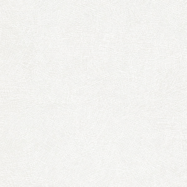 ERISMANN ET CIE - 13004-10 - Revêtement à Peindre Intissé Lignes Croisées Rollover Deco