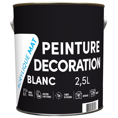 TOUT DANS LE PRIX - Peinture Décoration Acrylique Mat Blanc 2.5L