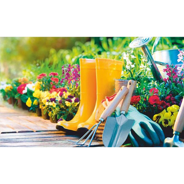 MERCURY - Tapis Velvet Garden Boots 2 45x75cm