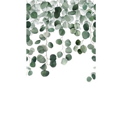 GRANDECO - Papier Peint Panoramique Eucalyptus 159 x 280 cm