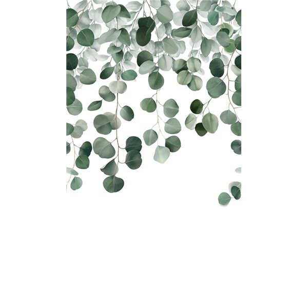 GRANDECO - Papier Peint Panoramique Eucalyptus 159 x 280 cm