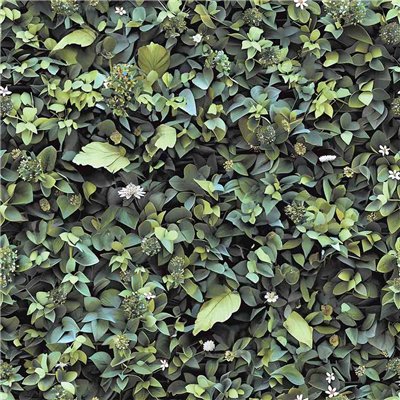 DECOR DESIGN - M891-04 - Vinyle Sur Intissé Mur Végétal Vert 10 x 0.53 m