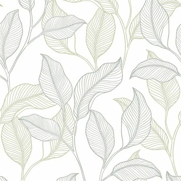 DECOR DESIGN - A74902 - Papier Peint Vinyle Expansé Sur Intissé Motif Nardy Vert 10.05 x 0.53 m