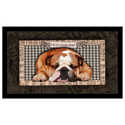 MERCURY - Tapis Velvet I'm On Guard Here 45 x 75 cm