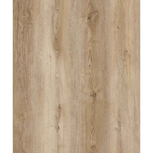 IGUANE - Optima 55 à Coller PEAK D2555 Lame 1219.4 x 177.8 mm