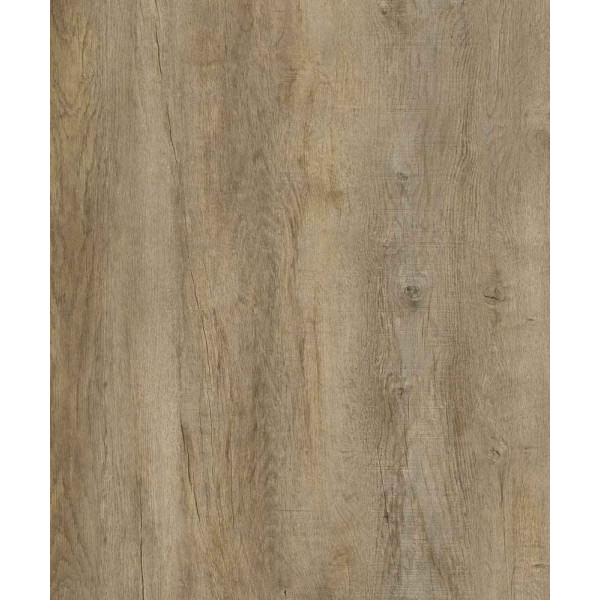 IGUANE - Optima 55 à Coller CANOPY D2555 Lame 1219.4 x 177.8 mm