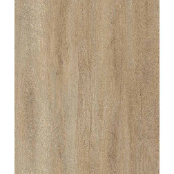 IGUANE - Optima 70 à Coller SHAPE D2570 Lame 1219.4 x 177.8 mm