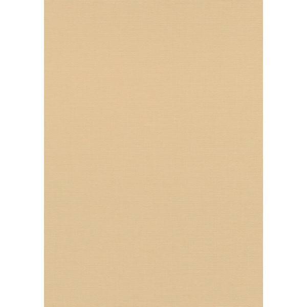 DECOR DESIGN - 10262-04 Vinyle sur Intissé Grainé Linea Tissu Abricot