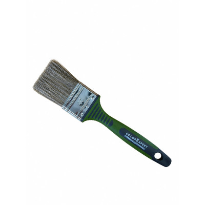 COLOR EXPERT - Brosse Plate...