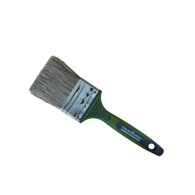 COLOR EXPERT - Brosse Plate...