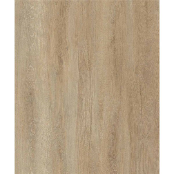 IGUANE - Optima 55 à Coller SHAPE D2555 Lame 1219.4 x 177.8 mm