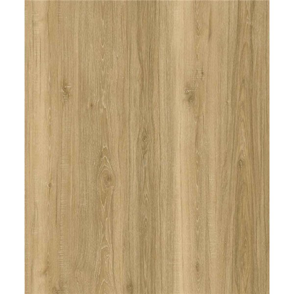 IGUANE - Optima 55 à Coller VALLEY D2555 Lame 1219.4 x 177.8 mm