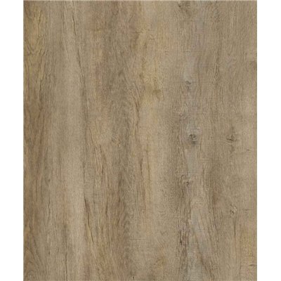 IGUANE - Optima 55 à Coller CANOPY D2555 Lame 1219.4 x 177.8 mm