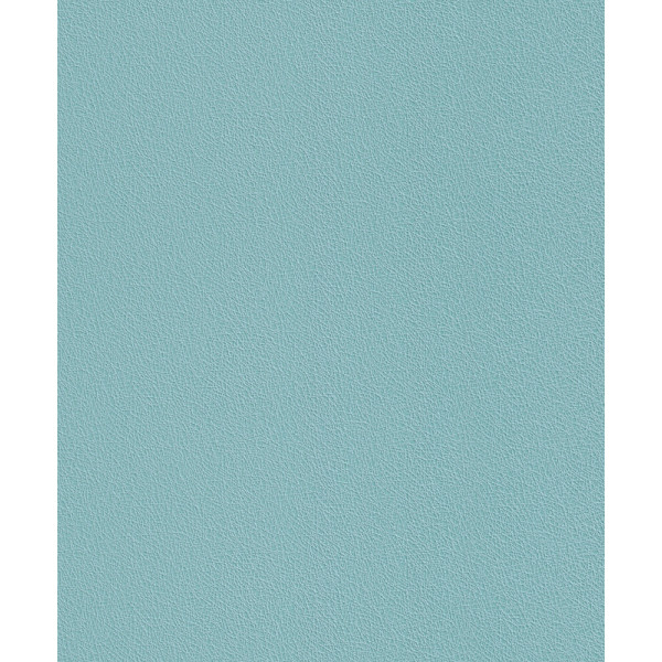 6038 - Vinyle sur intissé