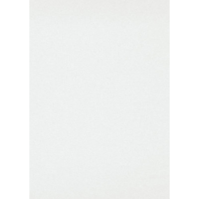 3333-5 - Voile de rénovation 150gr - 0.75x25m