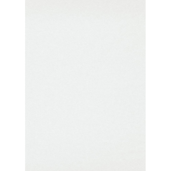 3333-5 - Voile de rénovation 150gr - 0.75x25m