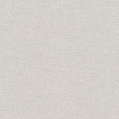 5009 - Papier Vinyl Grainé sur intissé Uni Florentine Argent