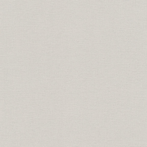 5009 - Papier Vinyl Grainé sur intissé Uni Florentine Argent