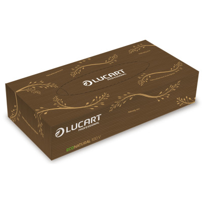 Mouchoirs en Papier EcoNatural Boite de 100