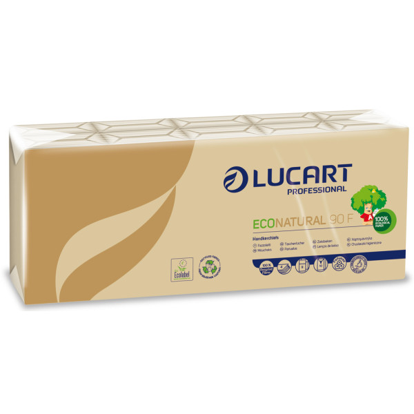 LUCART - Mouchoirs en Papier EcoNatural Lot de 10 Paquets