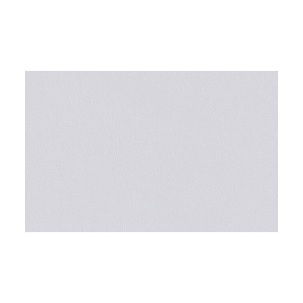 DECORAMA - 1003528 - Variovlies ECO 150 PLUS