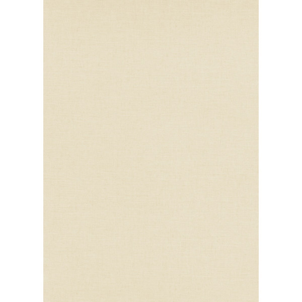 DECORAMA - 10262-14 - Papier Peint Vinyle Grainé sur Intissé Uni Casual Perle